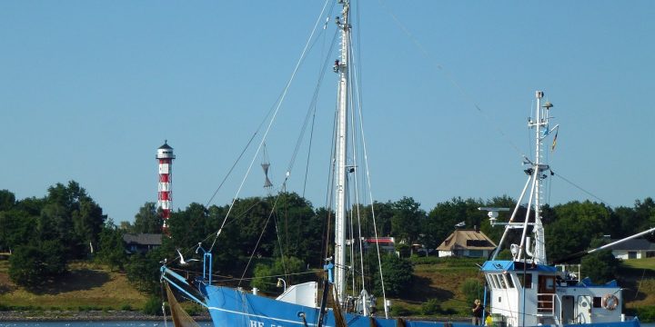 La pêche durable, une activité en plein essor en France et dans le monde