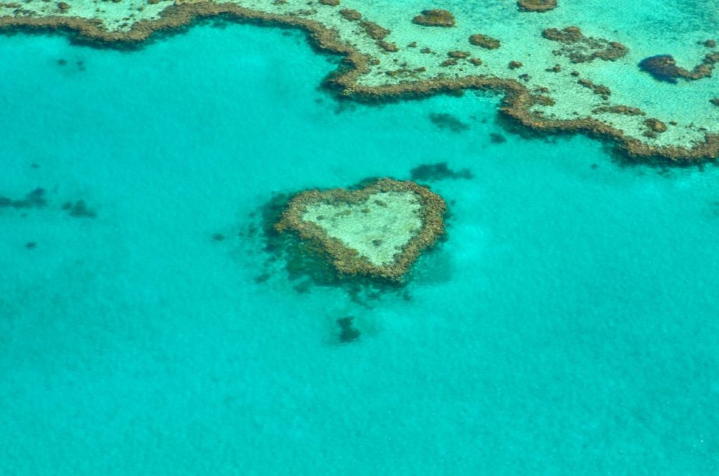 restauration-baririere-corail-australie