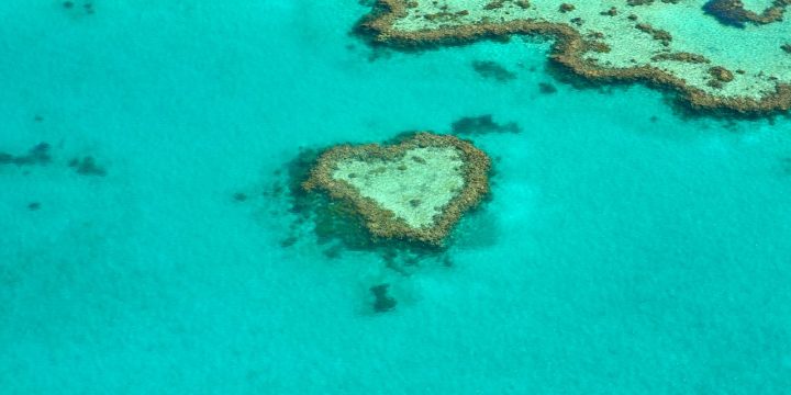 L’Australie va investir 500 millions de dollars pour restaurer la Grande Barrière de corail
