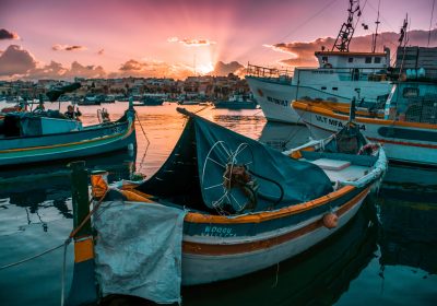 Pêche durable : le bilan 2019 des pêcheurs français