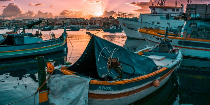 Pêche durable : le bilan 2019 des pêcheurs français