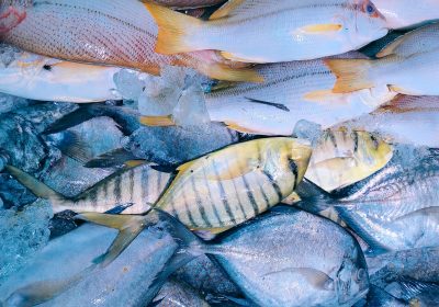 Comment être sûr d’acheter du poisson frais ?