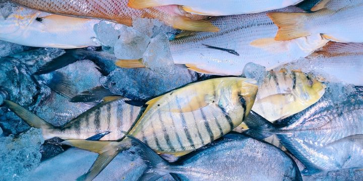 Comment être sûr d’acheter du poisson frais ?